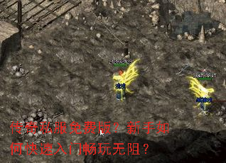 ����˽����Ѱ棿������ο������ų������裿