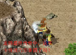 ����ʢ�������У���Щ���ּ�������������