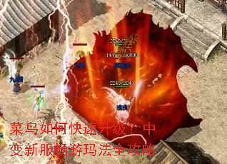 ������ο����������б��·������귨ȫ����