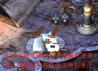 ����˽���߱���������ο��ٿ��ģ�������Ź��Դ�������ã