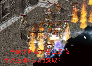 ����������٣�ʷ����ǿר����������λ�ȡ��