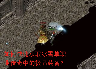 ��ο��ٻ�ȡ��ѩ��ְҵ�����еļ�Ʒװ����