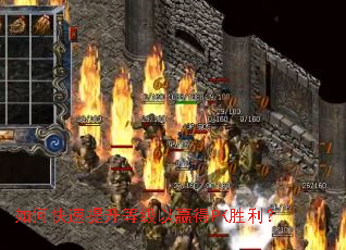 ��ο��������ȼ���Ӯ��PKʤ����