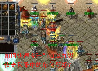 ��ο�����������ħ�Ž紫��˽���еĽ�ɫ�ȼ���