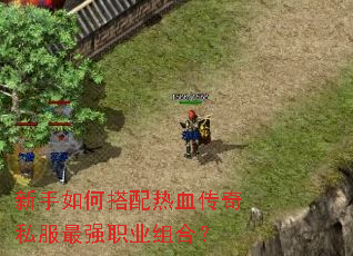新手如何搭配热血传奇私服最强职业组合? 新手如何搭配热血传奇私服最强职业组合?