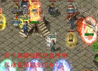 新手如何搭配热血传奇私服最强职业组合? 新手如何搭配热血传奇私服最强职业组合?