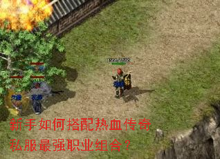 新手如何搭配热血传奇私服最强职业组合? 新手如何搭配热血传奇私服最强职业组合?