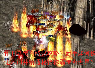 �����ϴ����ռ����ԣ�������ο������Ų���ͨ�ؼ��ưԴ������磿