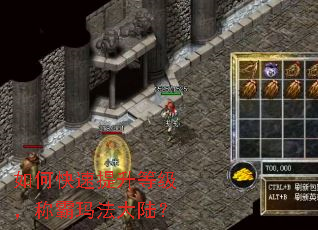 如何快速提升等级,称霸玛法大陆? 如何快速提升等级,称霸玛法大陆?