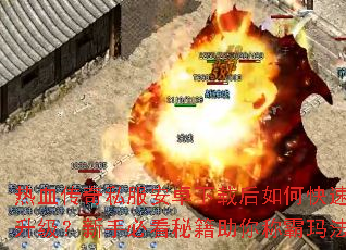 热血传奇私服安卓下载后如何快速升级?新手必看秘籍助你称霸玛法 热血传奇私服安卓下载后如何快速升级?新手必看秘籍助你称霸玛法