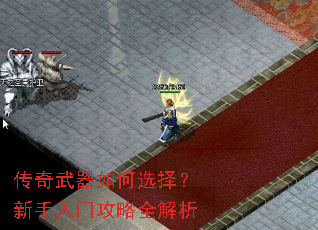 �����������ѡ���������Ź���ȫ����