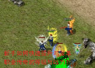 ������ο����������ɵ�ְҵ����ĵȼ���ս����