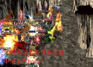 ��θ�Ч��ɱ����˽���еĸ���boss��