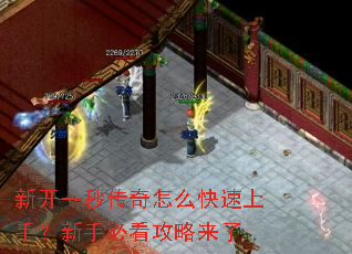 �¿�һ�봫����ô�������֣����ֱؿ���������