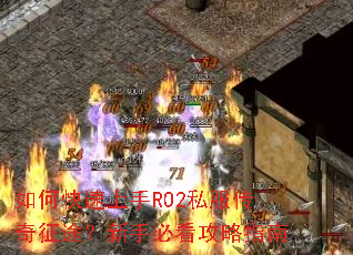 ��ο�������RO2˽��������;�����ֱؿ�����ָ��