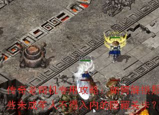 传奇老司机专用攻略:如何解锁那些未成年人不得入内的隐藏关卡? 传奇老司机专用攻略:如何解锁那些未成年人不得入内的隐藏关卡?