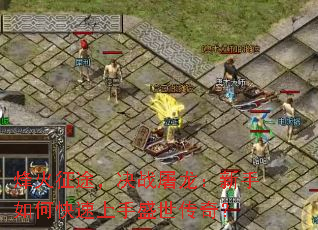 �����;����ս������������ο�������ʢ�����棿