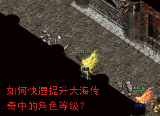 ��ο��������󺣴����еĽ�ɫ�ȼ���