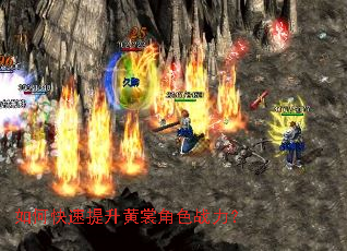 ��ο����������ѽ�ɫս����