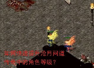 ��ο������������ʵ������еĽ�ɫ�ȼ���