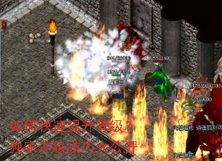 ��ο��������ȼ������ҳ弶���ɴ󹫿�