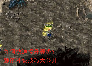 ��ο��������ȼ������ҳ弶���ɴ󹫿�