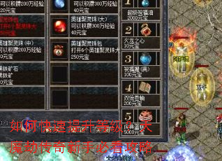 ��ο��������ȼ�����ħ�ٴ������ֱؿ�����