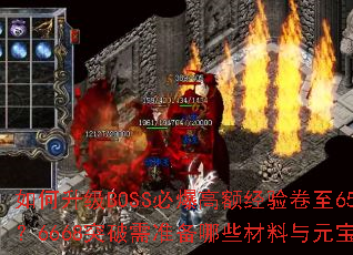 �������BOSS�ر��߶�����65����6668ͻ����׼����Щ������Ԫ����