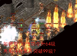 如何用100传功令升64级再用斗转灵丹突破99级? 如何用100传功令升64级再用斗转灵丹突破99级?