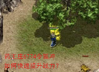 ҩ��ׯ6774�������ο�������ս����