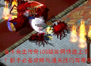 ��ţ�ϻ�����iOS����ο������֣����ֱر�������ͨ�ؼ�������Щ��