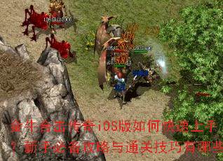 ��ţ�ϻ�����iOS����ο������֣����ֱر�������ͨ�ؼ�������Щ��