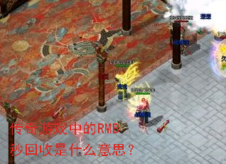 ������Ϸ�е�RMB�������ʲô��˼��