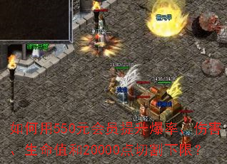 如何用550元会员提升爆率、伤害、生命值和20000点切割下限? 如何用550元会员提升爆率、伤害、生命值和20000点切割下限?