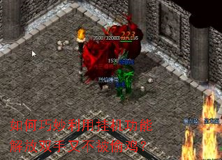 ����������ùһ����ܽ��˫���ֲ���͵����