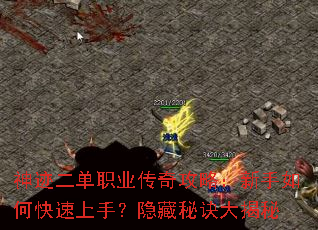 神迹二单职业传奇攻略:新手如何快速上手?隐藏秘诀大揭秘 神迹二单职业传奇攻略:新手如何快速上手?隐藏秘诀大揭秘
