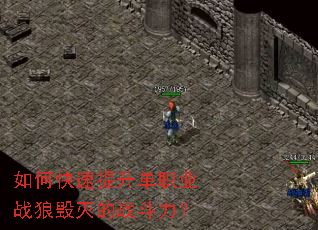 ��ο���������ְҵս�ǻ����ս������