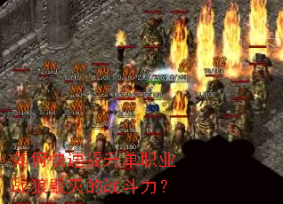 ��ο���������ְҵս�ǻ����ս������