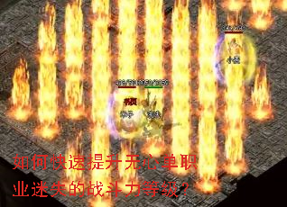 ��ο����������ĵ�ְҵ��ʧ��ս�����ȼ���