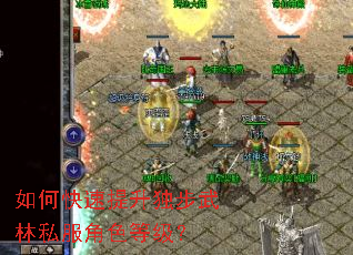 ��ο���������������˽����ɫ�ȼ���