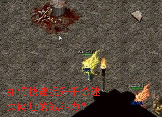 如何快速提升千杀迷失网址的战斗力? 如何快速提升千杀迷失网址的战斗力?