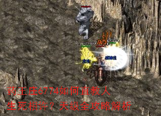 药王庄6774如何直教人生死相许?天级全攻略解析 药王庄6774如何直教人生死相许?天级全攻略解析