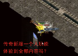 �����·�һ�����������鵽ȫ��������