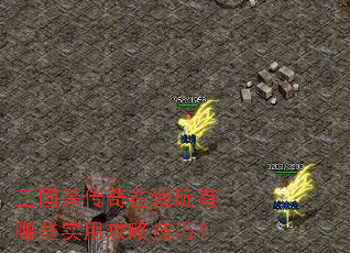 ����ɱ��������������Щʵ�ù��Լ��ɣ�