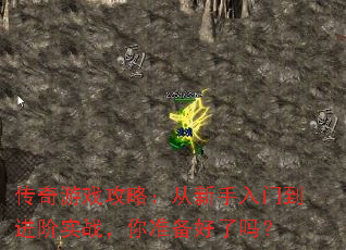 ������Ϸ���ԣ����������ŵ�����ʵս����׼��������