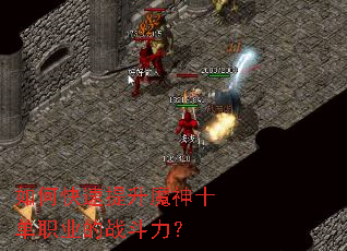 ��ο�������ħ��ʮ��ְҵ��ս������