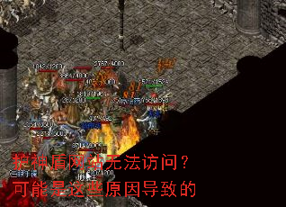 护神盾网站无法访问?可能是这些原因导致的 护神盾网站无法访问?可能是这些原因导致的