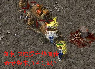 ��ο���������Ѫ�����ϰ汾��ɫ�ȼ���