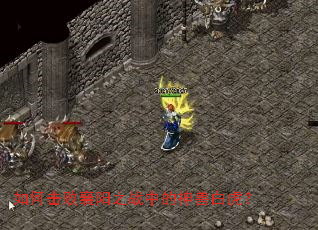 ��λ�������֮ս�е����ް׻���