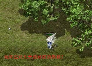 如何应对九天劫被抓的危机? 如何应对九天劫被抓的危机?